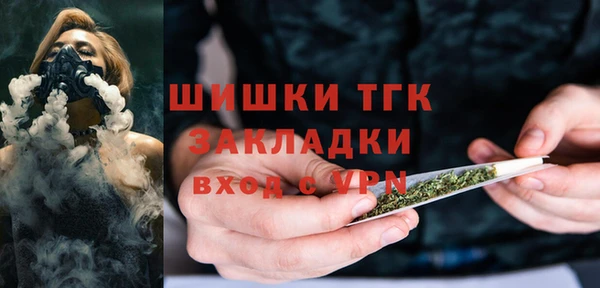 дживик Осинники